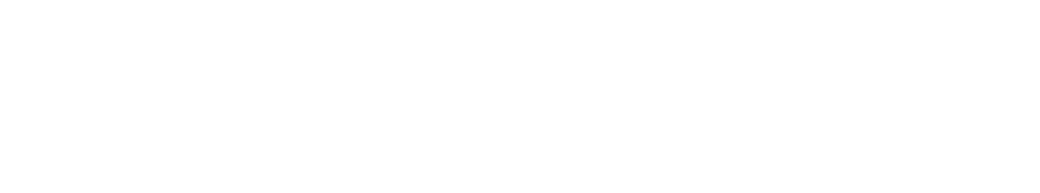 PrimeFaze IT Solutions Logo